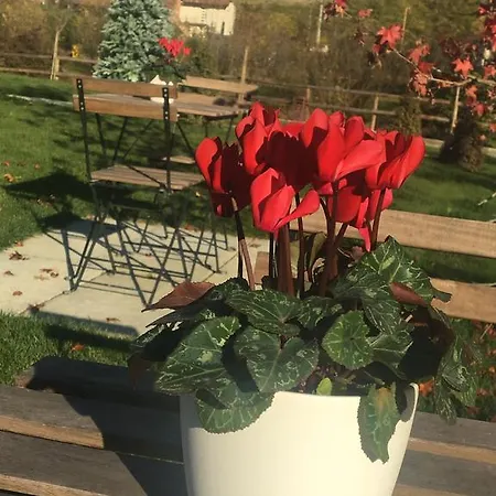 Da Mamma Vakantieboerderij *