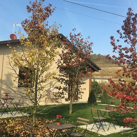 Da Mamma Alba (Piedmont)