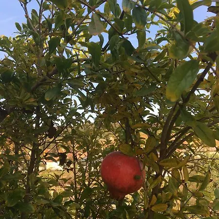 Da Mamma Çiftlik konaklama