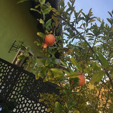 Çiftlik konaklama Da Mamma *